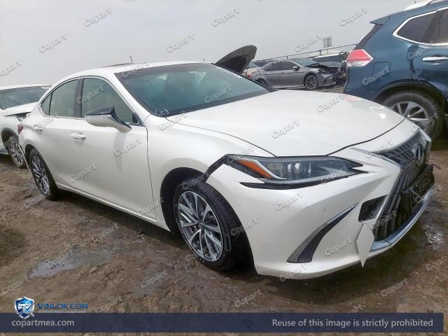 Auction photo