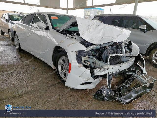 Auction photo