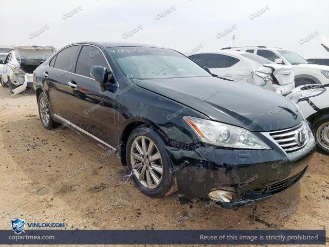 Auction photo
