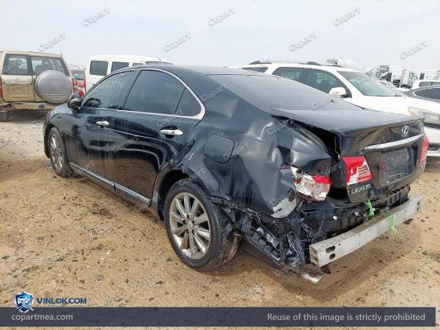 Auction photo