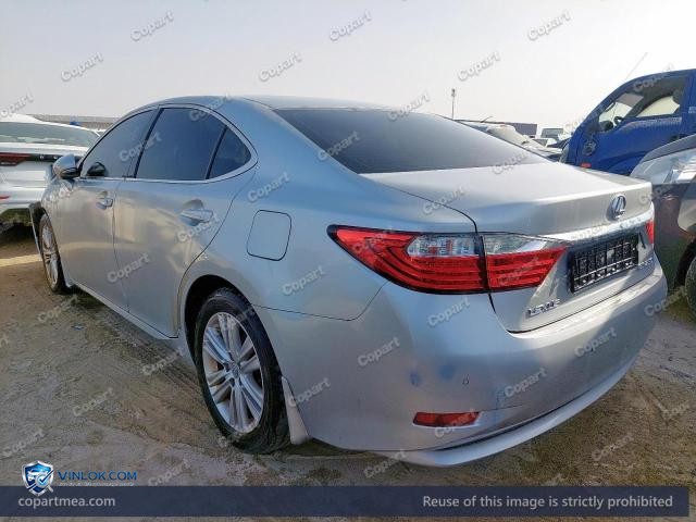 Auction photo