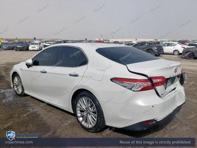 Auction photo