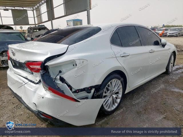Auction photo