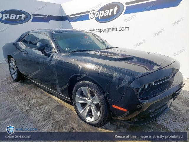 Auction photo