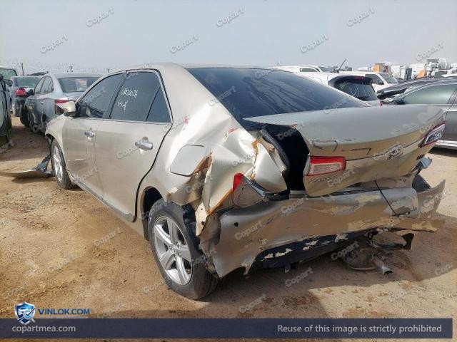 Auction photo