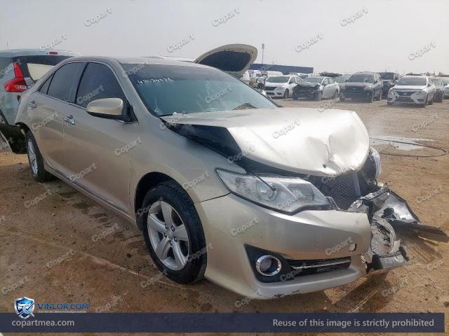 Auction photo