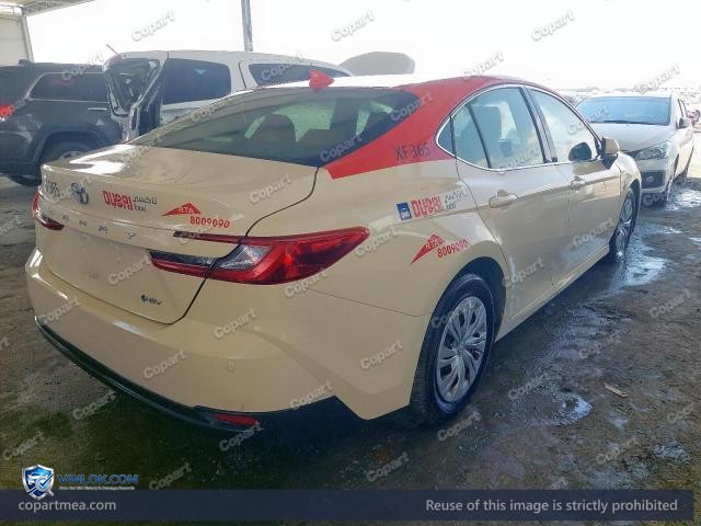 Auction photo