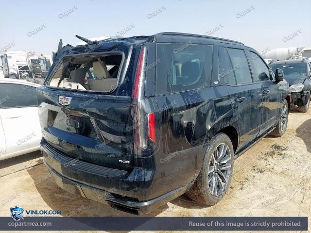 Auction photo