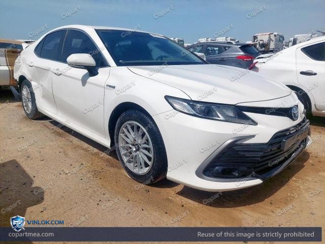 Auction photo