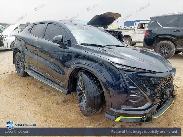 2024 CHAN UNI-T — Lot 48179076 auction photo