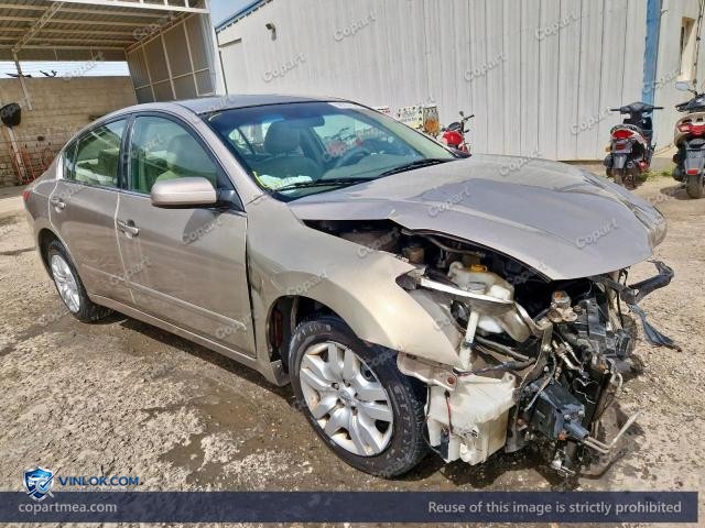 Auction photo