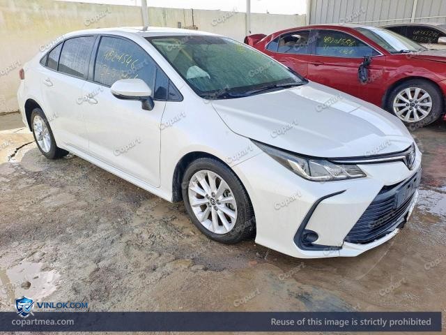 Auction photo