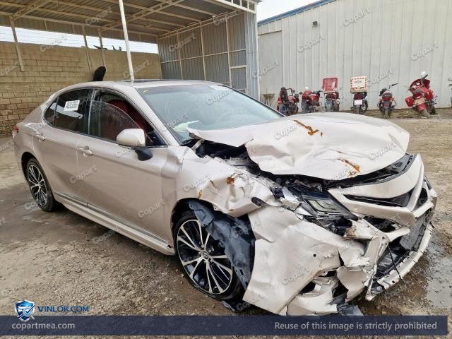 Auction photo