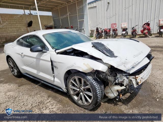 Auction photo