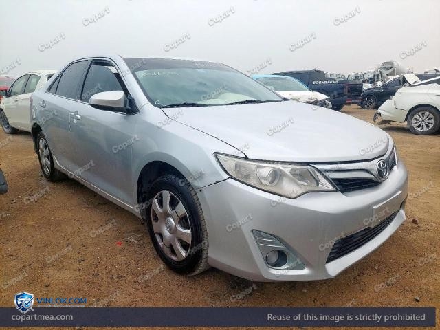 Auction photo