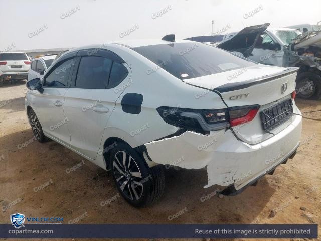 Auction photo