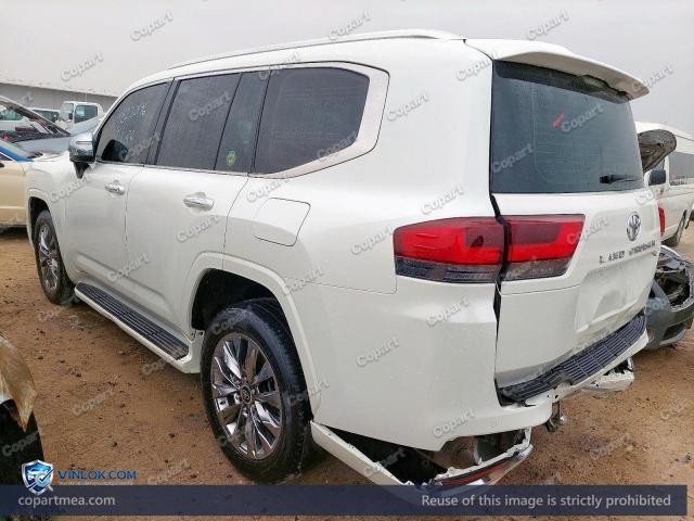 Auction photo