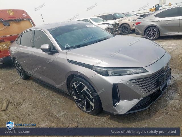 2025 CHAN EADO PLUS — Lot 48225246 auction photo