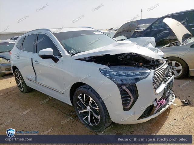 2024 HAVA JOLION — Lot 48227946 auction photo