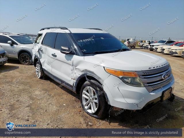 Auction photo