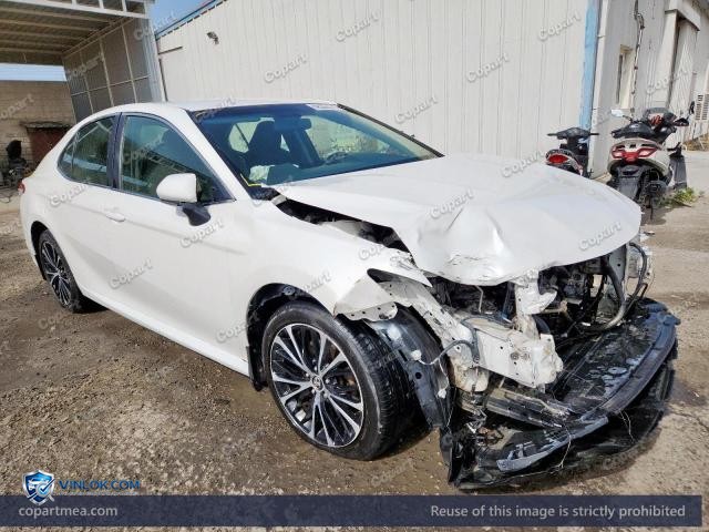 Auction photo