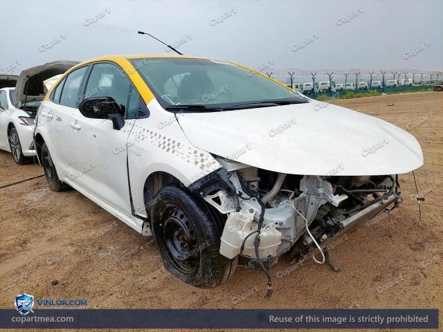 Auction photo