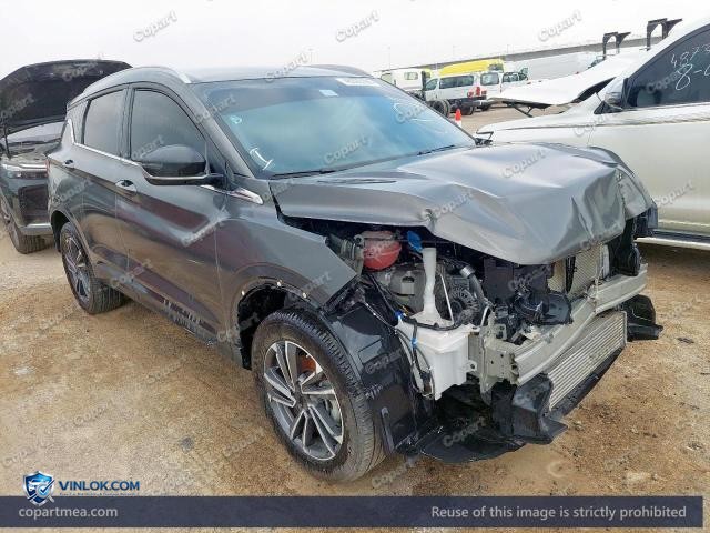 2025 GEELY COOLRAY — Lot 48365166 auction photo
