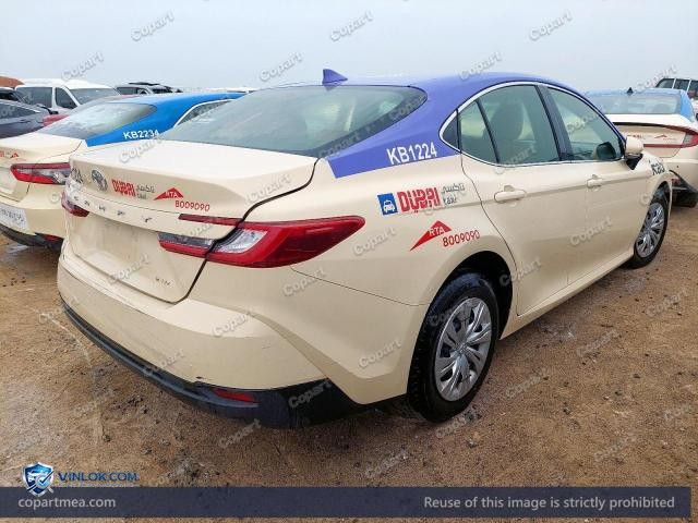 Auction photo