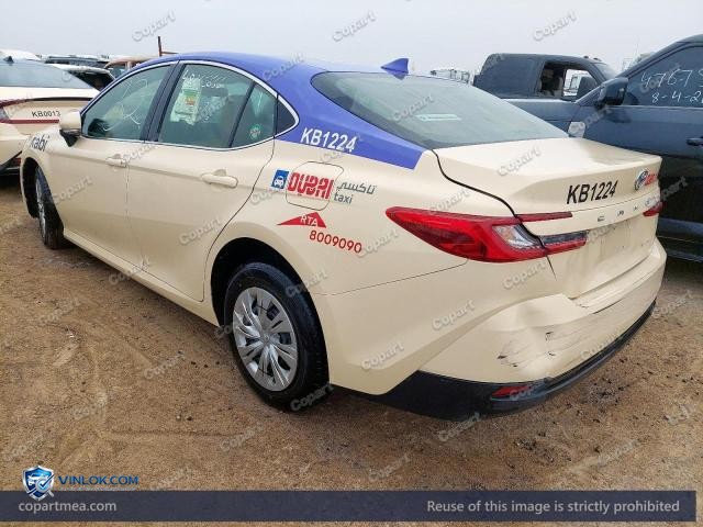 Auction photo