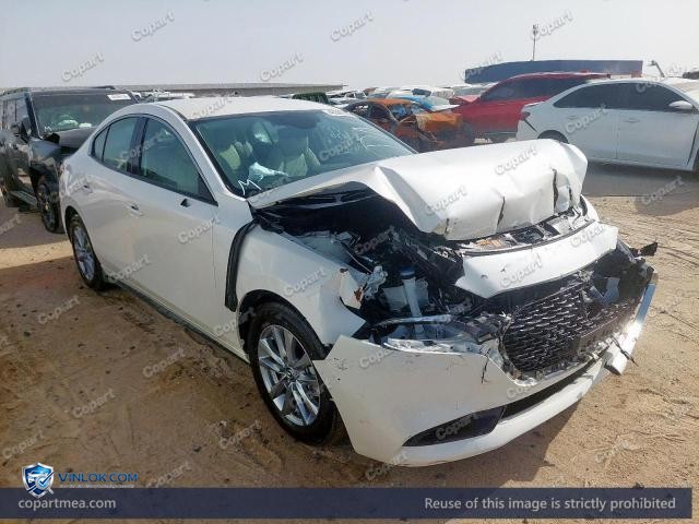 Auction photo