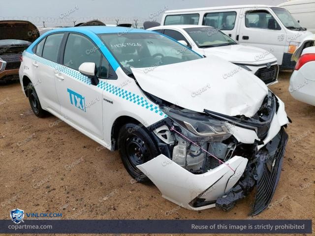 Auction photo