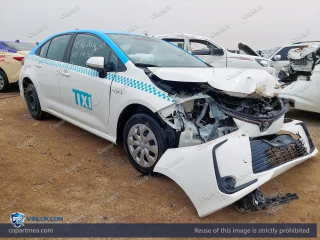 Auction photo