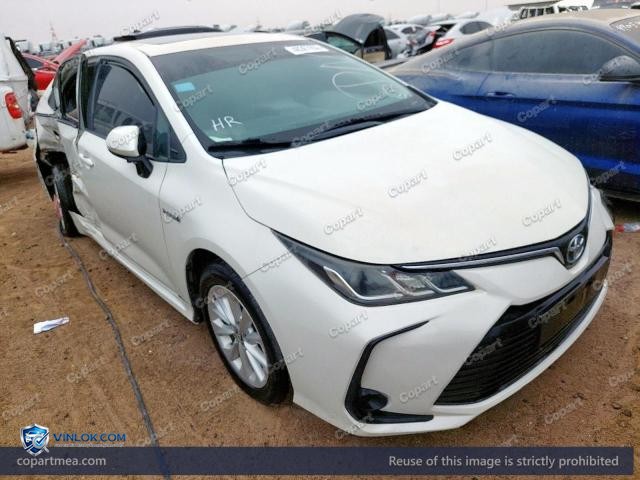 Auction photo
