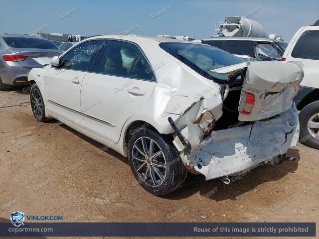 Auction photo