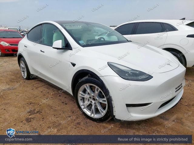 Auction photo