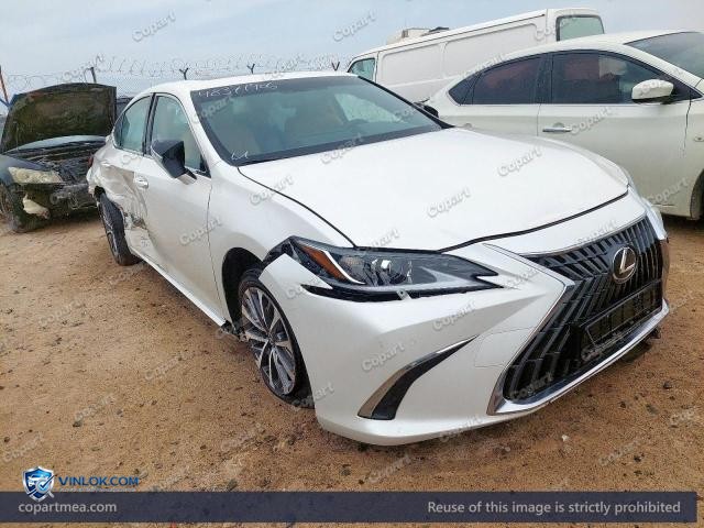 Auction photo