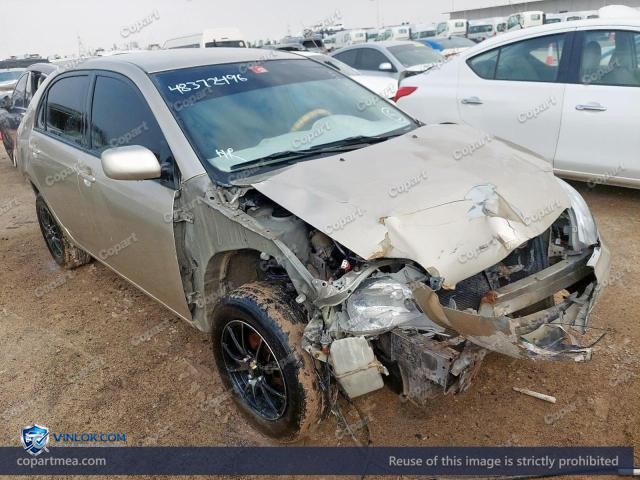 Auction photo
