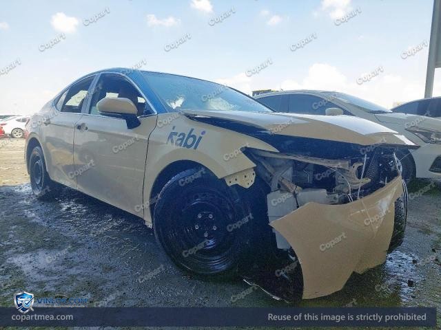 Auction photo