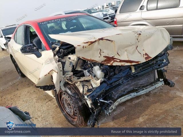 Auction photo