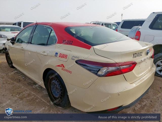 Auction photo