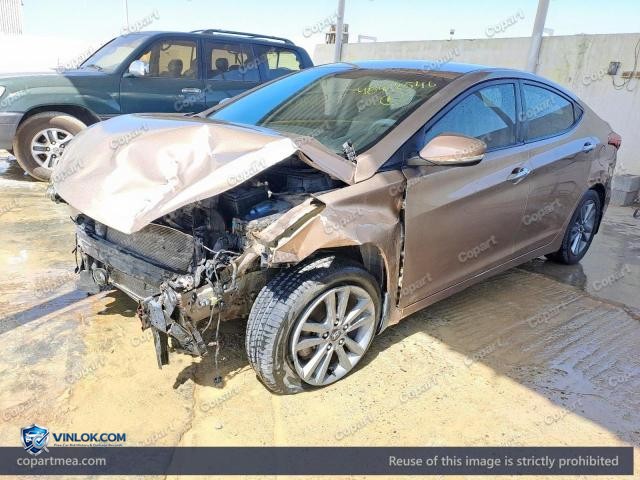 Auction photo
