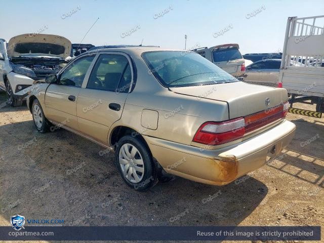 Auction photo