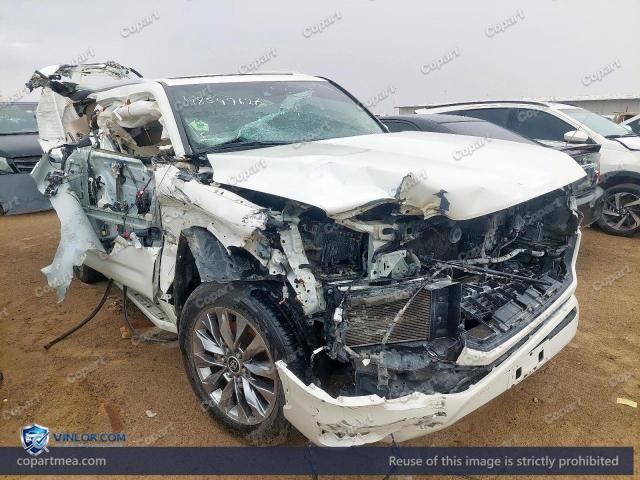 Auction photo
