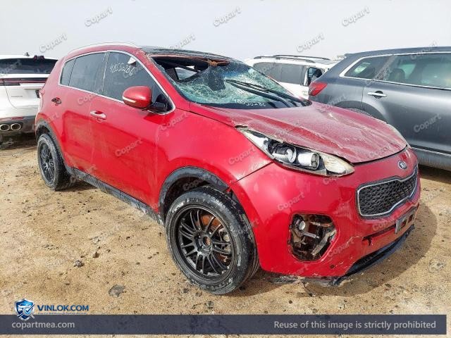 Auction photo