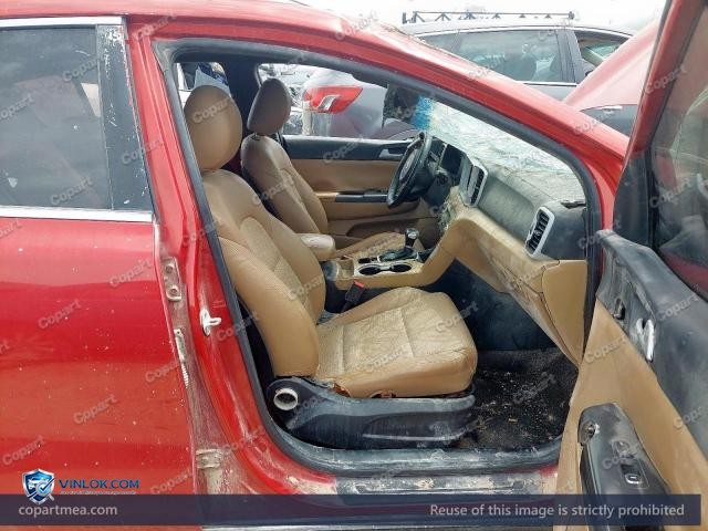 Auction photo