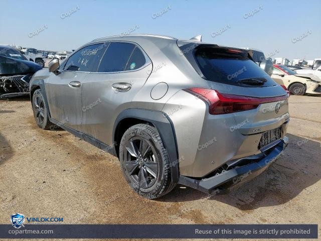 Auction photo