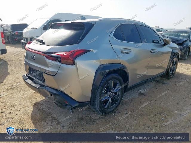 Auction photo