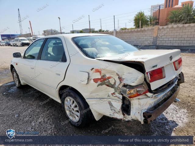 Auction photo