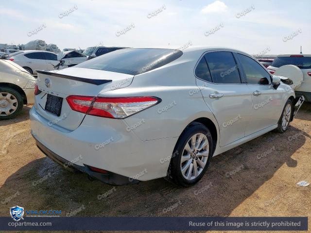 Auction photo