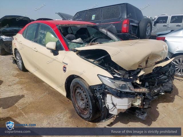 Auction photo